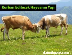 Kurban Edilecek Hayvanın Yaşı